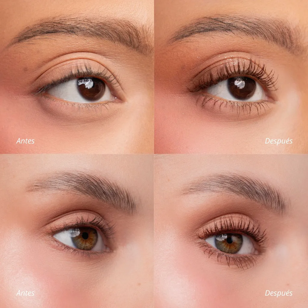 imgi_7_2_dda5875c-17a6-4585-b2f2-91b9f6922264.webp