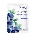 Mascarilla Facial Blueberry BioAqua Ref BQY51308
