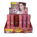 Labial Liquido Matte Karité Ref 7073747B